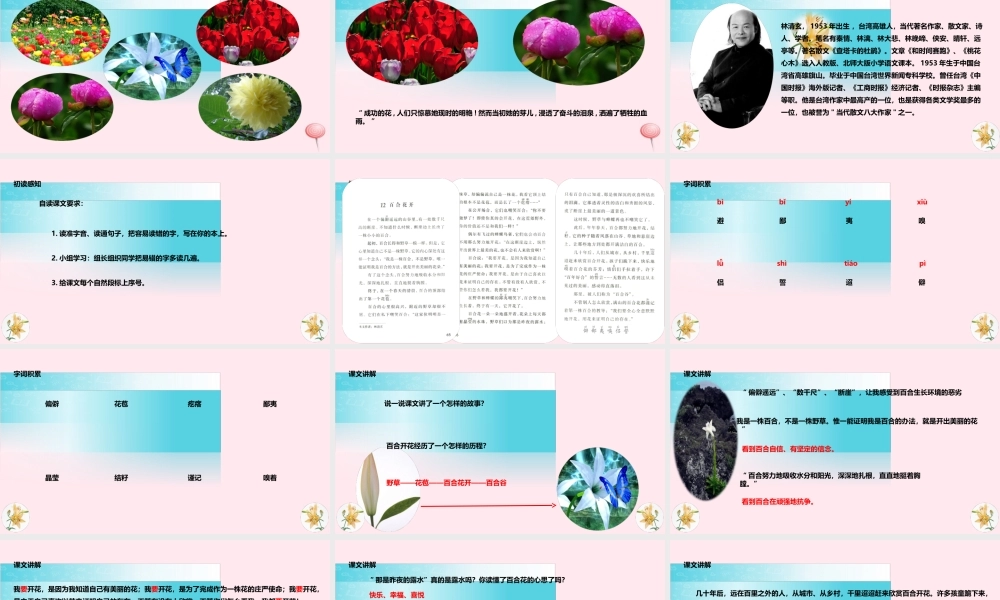 六年级语文上册 第三单元 12《百合花开》教学课件 冀教版-冀教版小学六年级上册语文课件