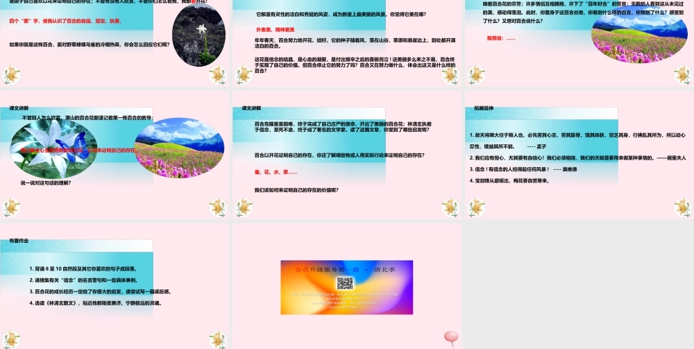 六年级语文上册 第三单元 12《百合花开》教学课件 冀教版-冀教版小学六年级上册语文课件