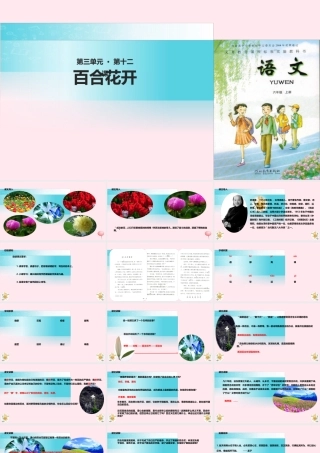 六年级语文上册 第三单元 12《百合花开》教学课件 冀教版-冀教版小学六年级上册语文课件