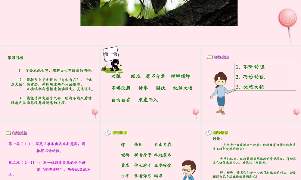 六年级语文上册 第六单元 22《螳螂捕蝉》同步优质课件 北京版-北京版小学六年级上册语文课件