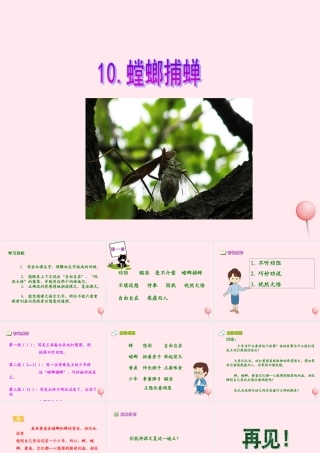 六年级语文上册 第六单元 22《螳螂捕蝉》同步优质课件 北京版-北京版小学六年级上册语文课件