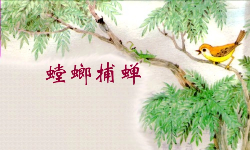 六年级语文上册 第六单元 22《螳螂捕蝉》原创精品课件 北京版-北京版小学六年级上册语文课件