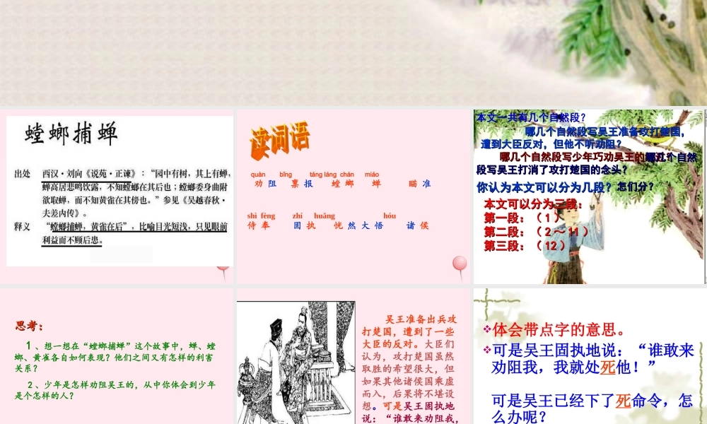 六年级语文上册 第六单元 22《螳螂捕蝉》原创精品课件 北京版-北京版小学六年级上册语文课件