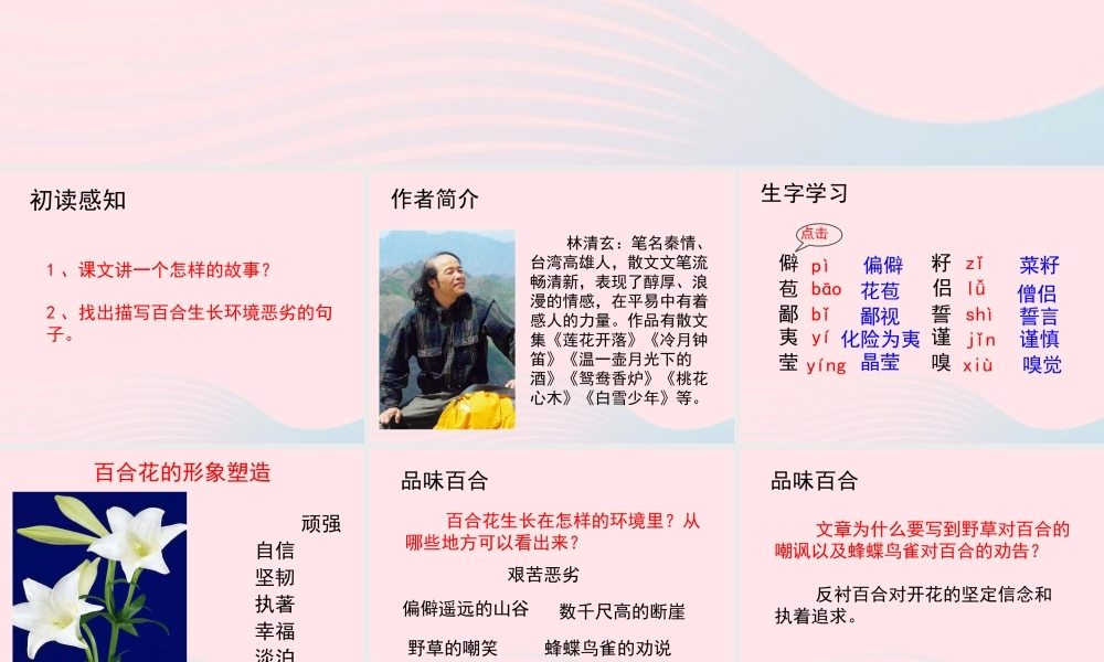 六年级语文上册 第三单元 12《百合花开》教学课件参考 北京版-北京版小学六年级上册语文课件