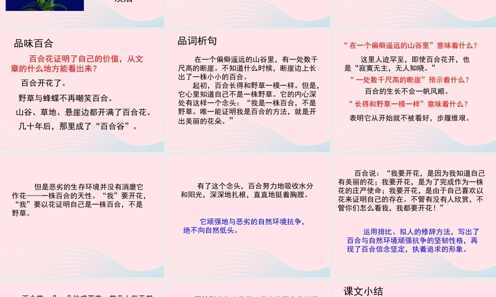 六年级语文上册 第三单元 12《百合花开》教学课件参考 北京版-北京版小学六年级上册语文课件