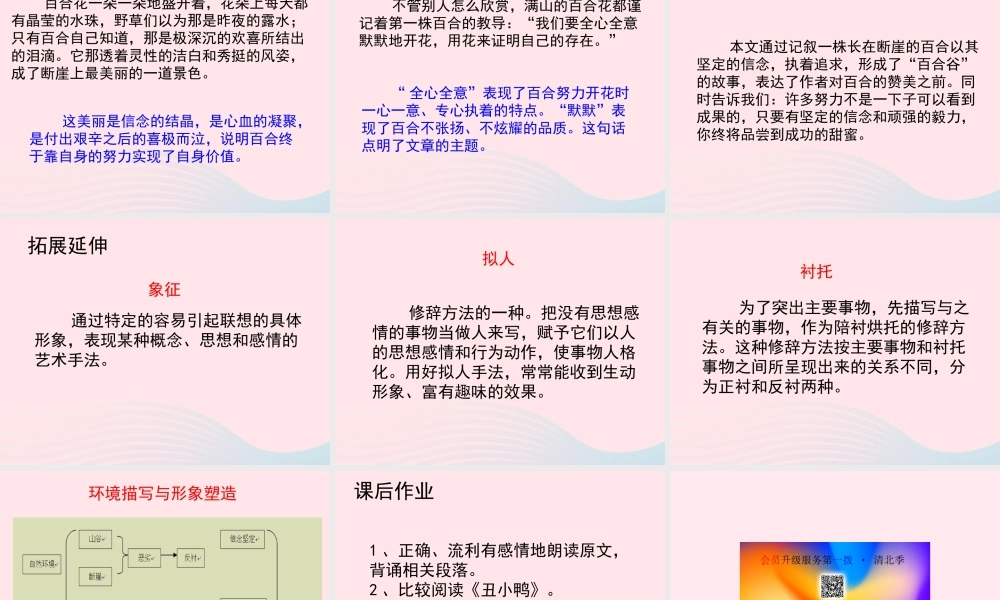 六年级语文上册 第三单元 12《百合花开》教学课件参考 北京版-北京版小学六年级上册语文课件