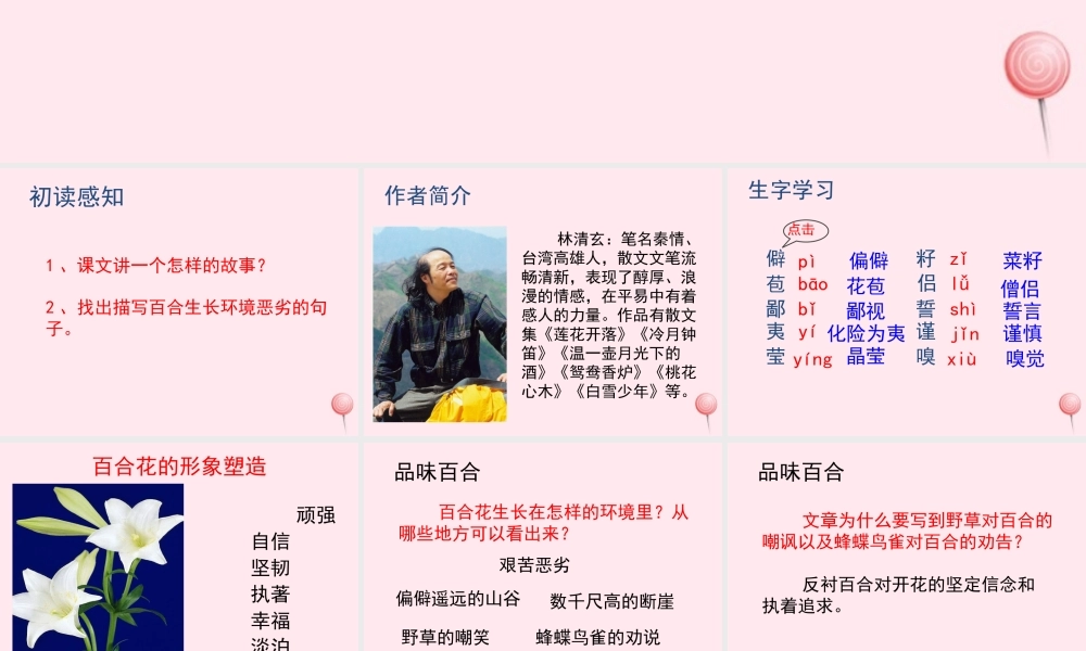 六年级语文上册 第三单元 12《百合花开》教学课件参考 冀教版-冀教版小学六年级上册语文课件