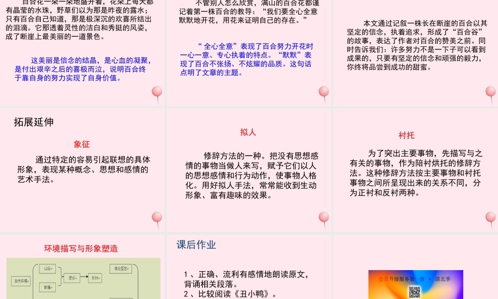 六年级语文上册 第三单元 12《百合花开》教学课件参考 冀教版-冀教版小学六年级上册语文课件