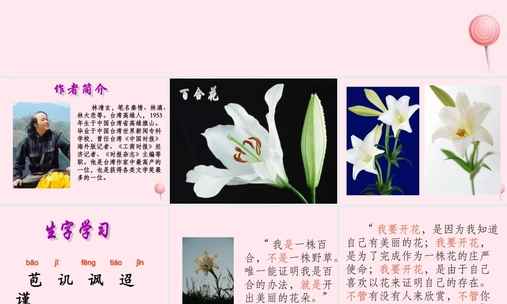 六年级语文上册 第三单元 12《百合花开》精品课件 北京版-北京版小学六年级上册语文课件