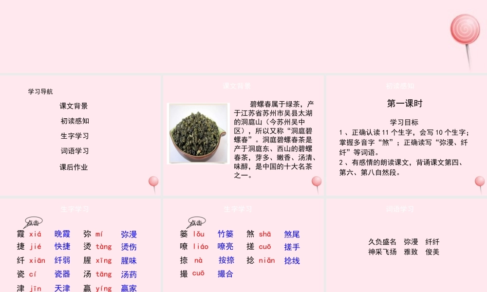 六年级语文上册 第六单元 26《碧螺春》（第1课时）课件 冀教版-冀教版小学六年级上册语文课件