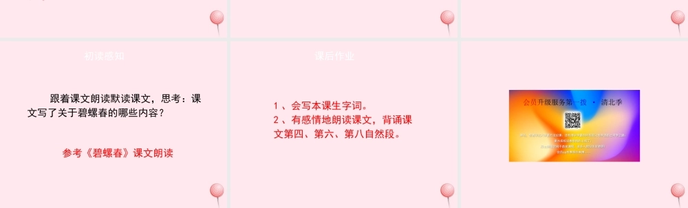 六年级语文上册 第六单元 26《碧螺春》（第1课时）课件 冀教版-冀教版小学六年级上册语文课件