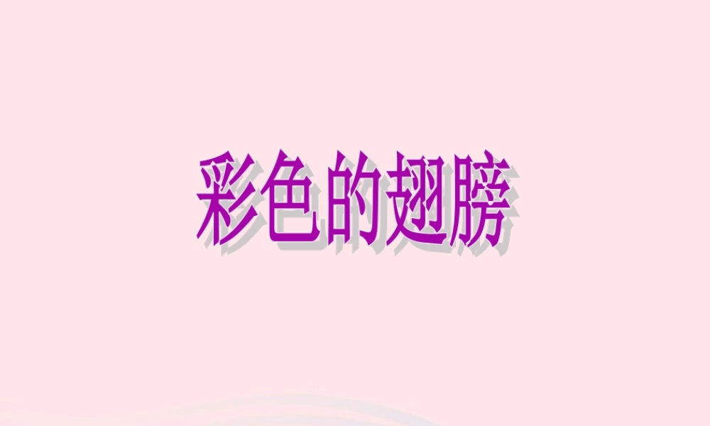 六年级语文上册 第二组 7 彩色的翅膀课件1