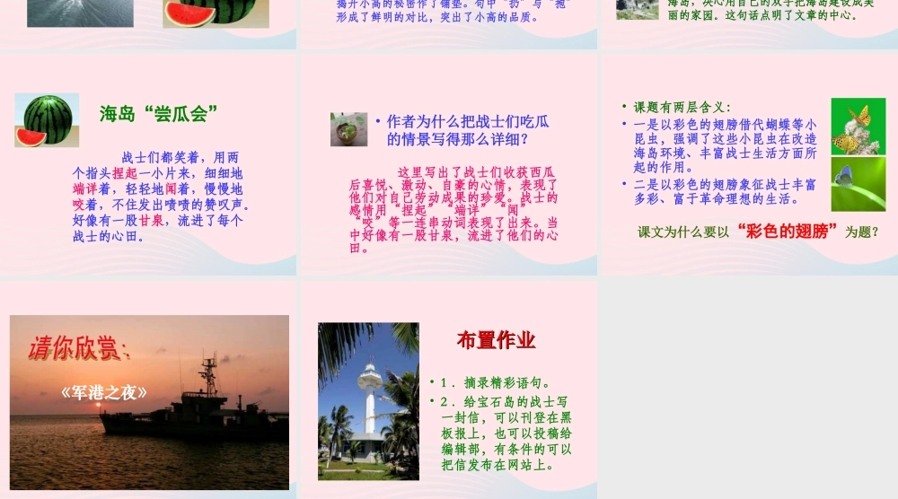 六年级语文上册 第二组 7 彩色的翅膀课件1