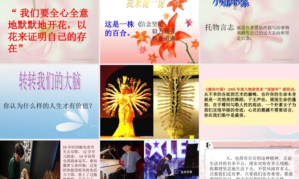 六年级语文上册 第三单元 12《百合花开》课件推荐 北京版-北京版小学六年级上册语文课件