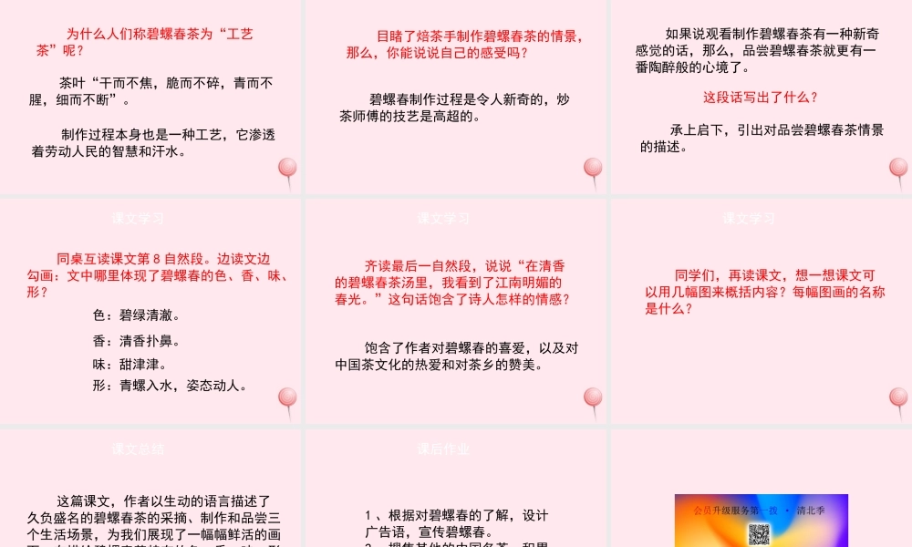 六年级语文上册 第六单元 26《碧螺春》（第2课时）课件 冀教版-冀教版小学六年级上册语文课件