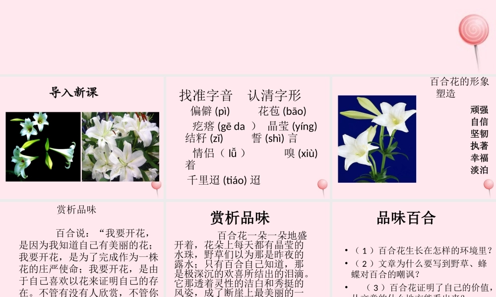 六年级语文上册 第三单元 12《百合花开》名师推荐课件 冀教版-冀教版小学六年级上册语文课件