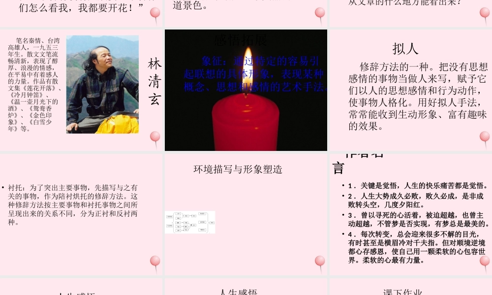 六年级语文上册 第三单元 12《百合花开》名师推荐课件 冀教版-冀教版小学六年级上册语文课件