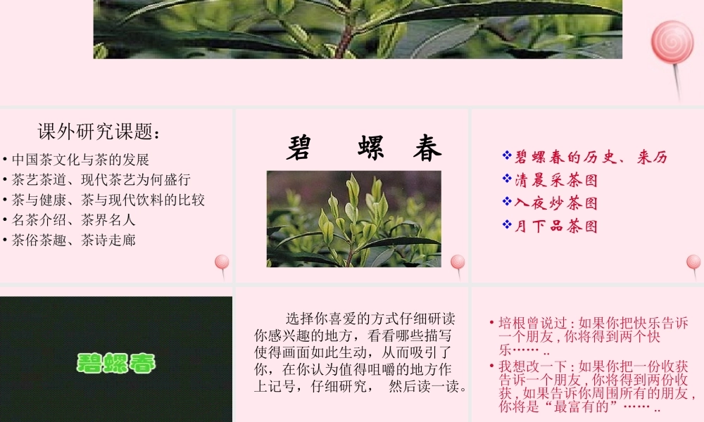 六年级语文上册 第六单元 26《碧螺春》名师课件 冀教版-冀教版小学六年级上册语文课件