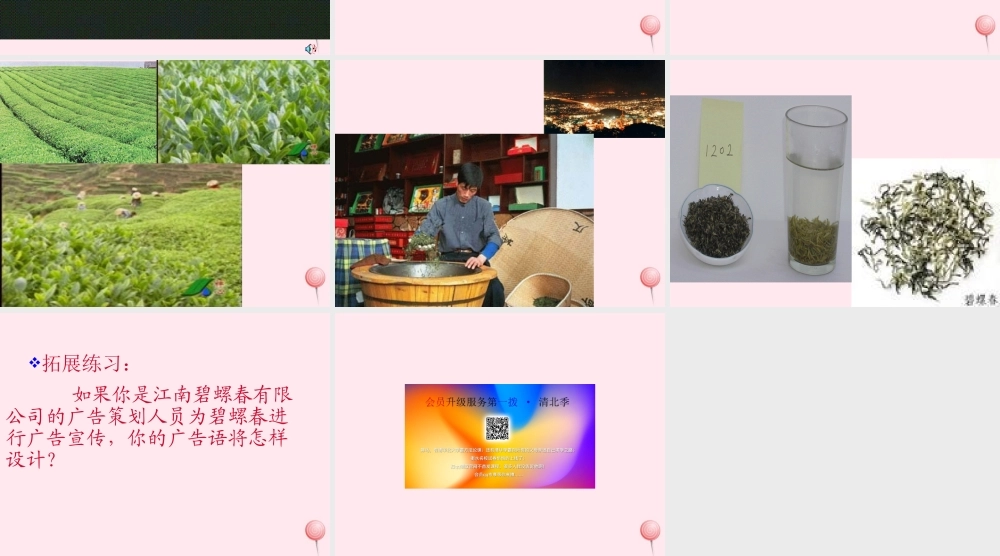 六年级语文上册 第六单元 26《碧螺春》名师课件 冀教版-冀教版小学六年级上册语文课件