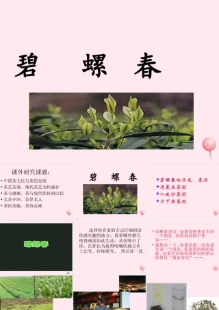 六年级语文上册 第六单元 26《碧螺春》名师课件 冀教版-冀教版小学六年级上册语文课件