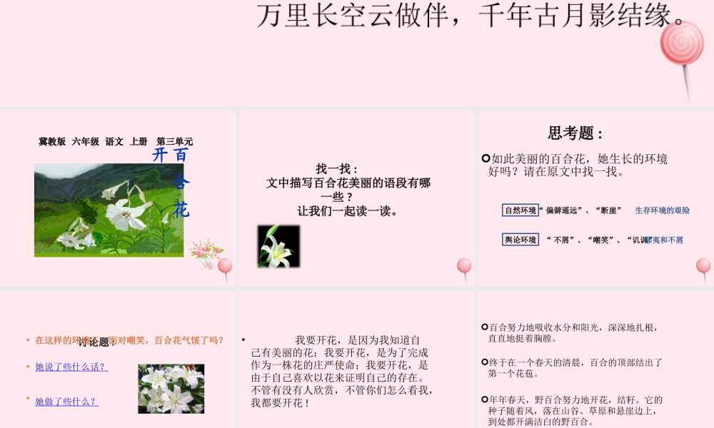 六年级语文上册 第三单元 12《百合花开》同步优质课件 冀教版-冀教版小学六年级上册语文课件