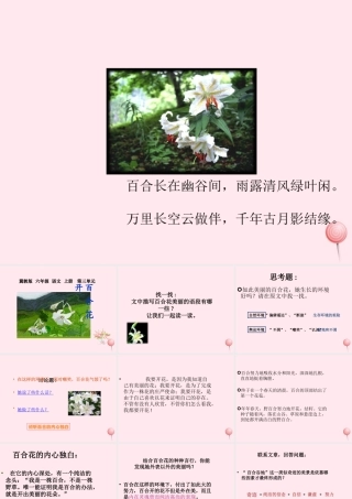 六年级语文上册 第三单元 12《百合花开》同步优质课件 冀教版-冀教版小学六年级上册语文课件