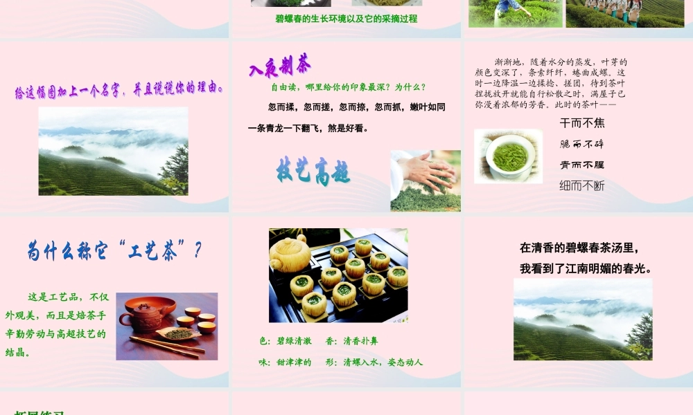 六年级语文上册 第六单元 26《碧螺春》同步精品课件 冀教版-冀教版小学六年级上册语文课件