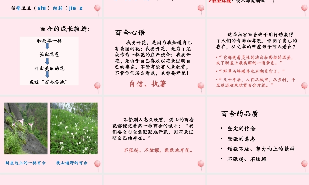 六年级语文上册 第三单元 12《百合花开》优培课件 冀教版-冀教版小学六年级上册语文课件
