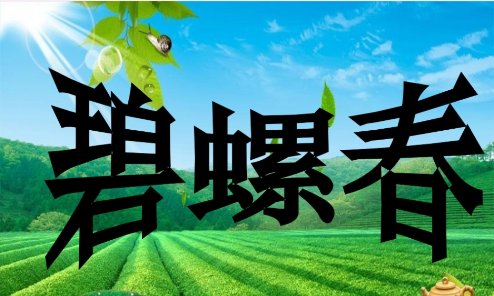 六年级语文上册 第六单元 26《碧螺春》同步课件 冀教版-冀教版小学六年级上册语文课件
