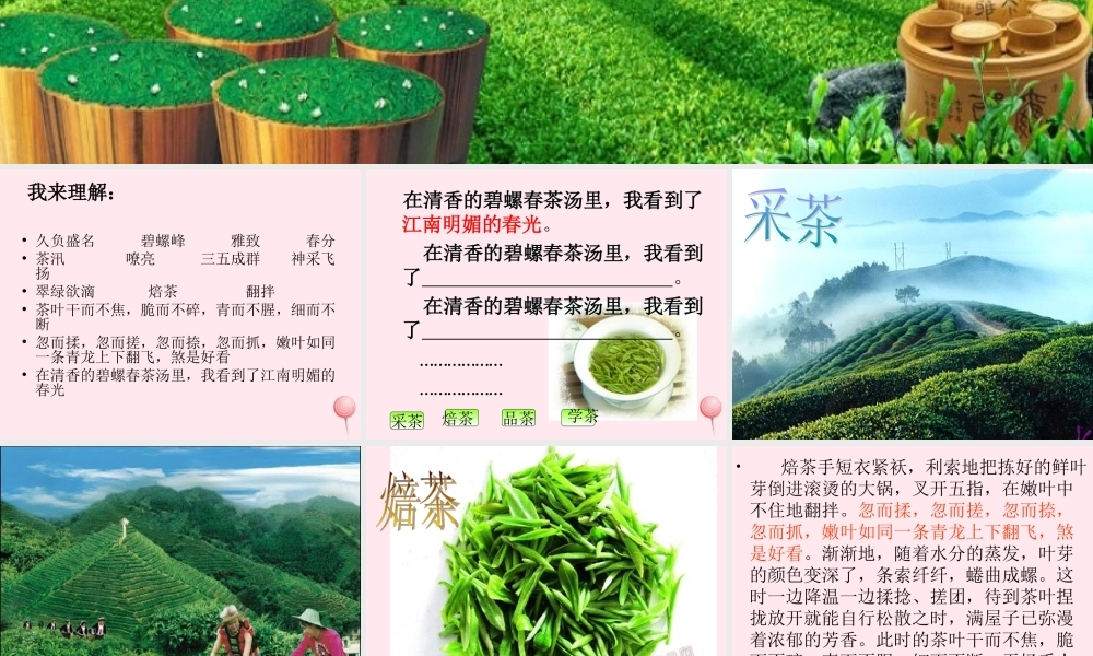 六年级语文上册 第六单元 26《碧螺春》同步课件 冀教版-冀教版小学六年级上册语文课件