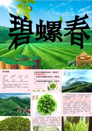 六年级语文上册 第六单元 26《碧螺春》同步课件 冀教版-冀教版小学六年级上册语文课件