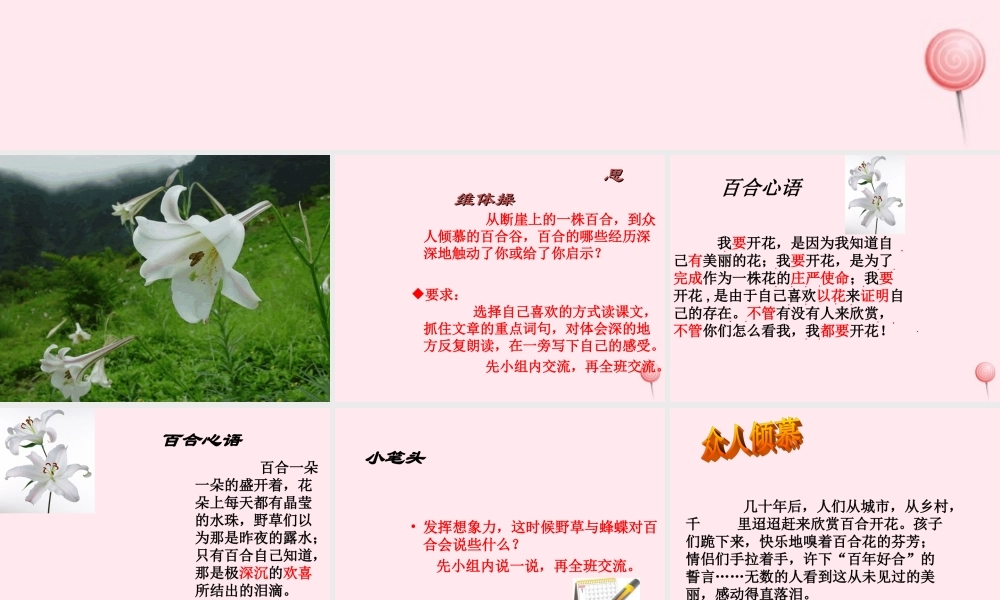 六年级语文上册 第三单元 12《百合花开》优质同步课件 冀教版-冀教版小学六年级上册语文课件