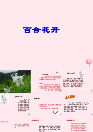 六年级语文上册 第三单元 12《百合花开》优质同步课件 冀教版-冀教版小学六年级上册语文课件
