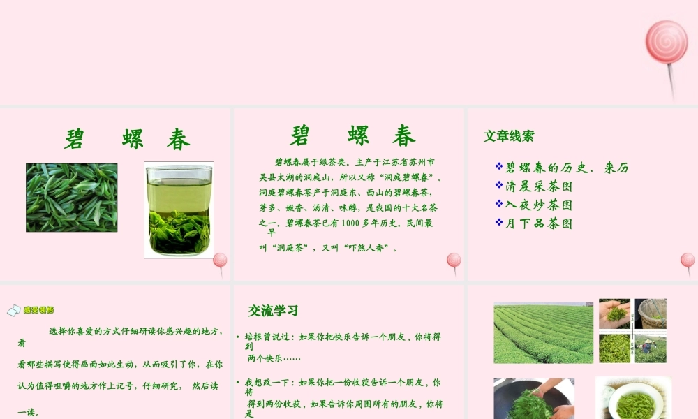 六年级语文上册 第六单元 26《碧螺春》同步优质课件 冀教版-冀教版小学六年级上册语文课件