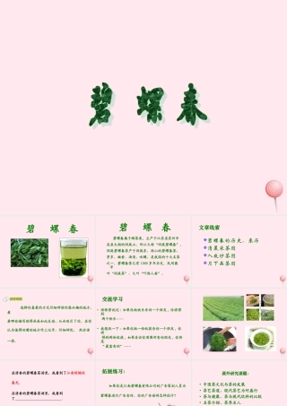 六年级语文上册 第六单元 26《碧螺春》同步优质课件 冀教版-冀教版小学六年级上册语文课件