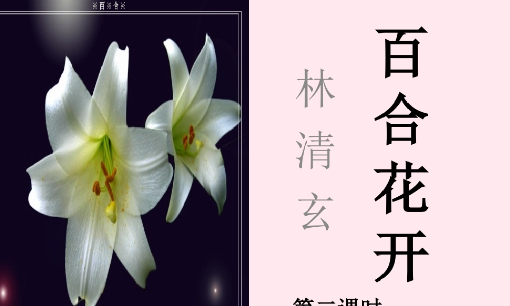 六年级语文上册 第三单元 12《百合花开》原创精品课件 北京版-北京版小学六年级上册语文课件