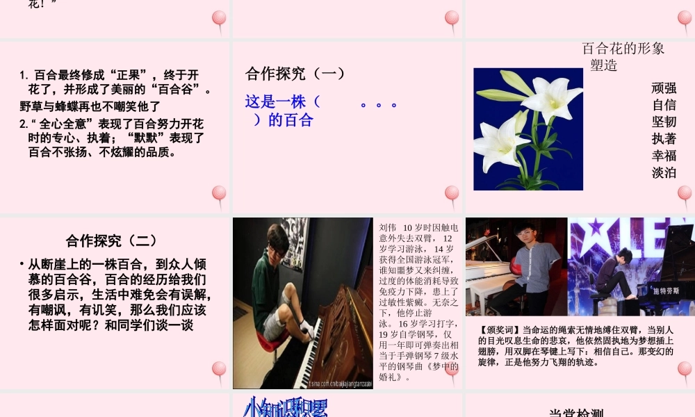 六年级语文上册 第三单元 12《百合花开》原创精品课件 北京版-北京版小学六年级上册语文课件