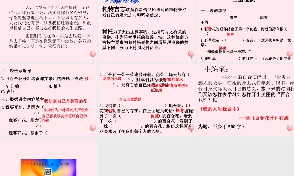 六年级语文上册 第三单元 12《百合花开》原创精品课件 北京版-北京版小学六年级上册语文课件