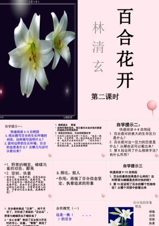 六年级语文上册 第三单元 12《百合花开》原创精品课件 北京版-北京版小学六年级上册语文课件