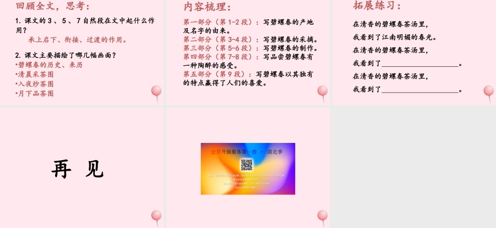 六年级语文上册 第六单元 26《碧螺春》优培课件 冀教版-冀教版小学六年级上册语文课件