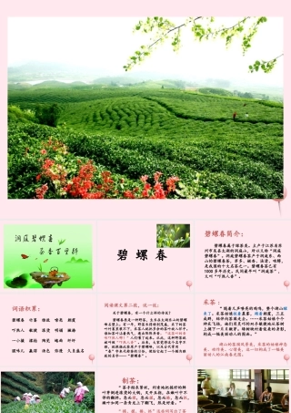 六年级语文上册 第六单元 26《碧螺春》优培课件 冀教版-冀教版小学六年级上册语文课件