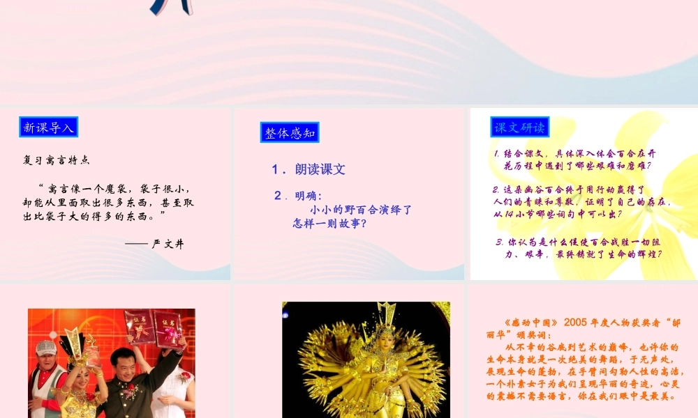 六年级语文上册 第三单元 12《百合花开》原创课件 北京版-北京版小学六年级上册语文课件