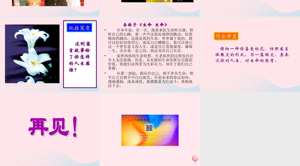 六年级语文上册 第三单元 12《百合花开》原创课件 冀教版-冀教版小学六年级上册语文课件