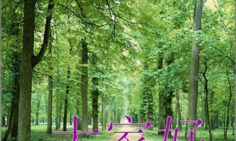 六年级语文上册 第六单元 28《用奇谋孔明借箭》精品课件 冀教版-冀教版小学六年级上册语文课件