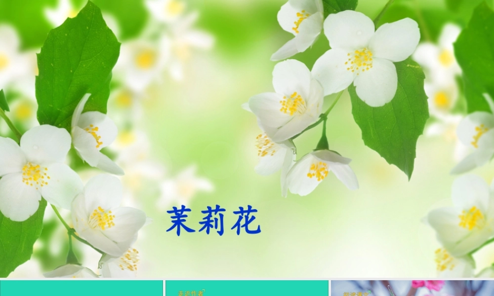 六年级语文上册 第一单元 4 花之歌课件