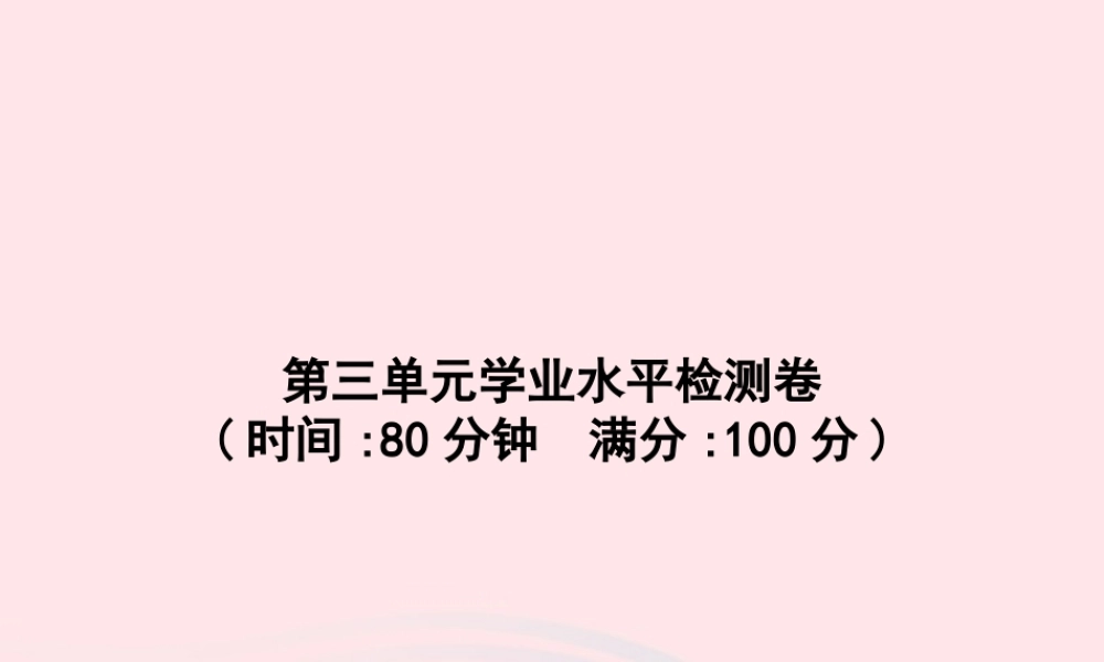 六年级语文上册 第三单元学业水平检测卷课件 新人教版-新人教版小学六年级上册语文课件