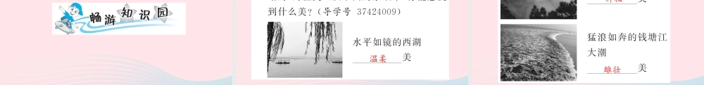 六年级语文上册 第一单元 4索溪峪的野习题课件 新人教版-新人教版小学六年级上册语文课件