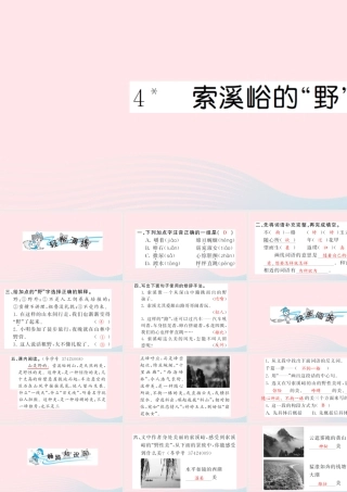 六年级语文上册 第一单元 4索溪峪的野习题课件 新人教版-新人教版小学六年级上册语文课件