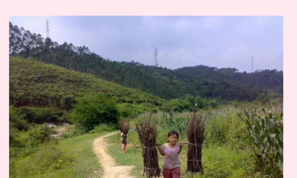 六年级语文上册 第五单元 25《挑柴》优培课件 冀教版-冀教版小学六年级上册语文课件