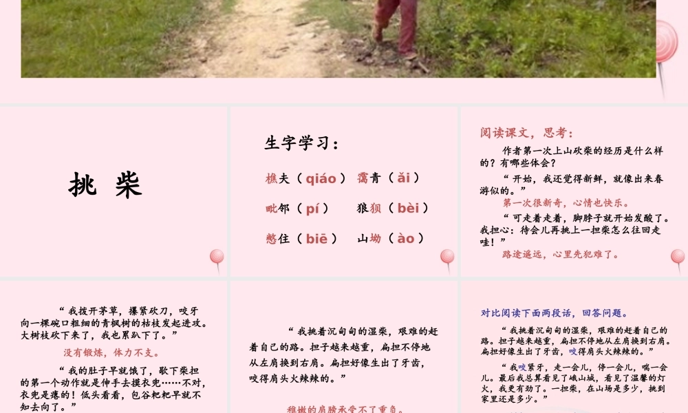 六年级语文上册 第五单元 25《挑柴》优培课件 冀教版-冀教版小学六年级上册语文课件